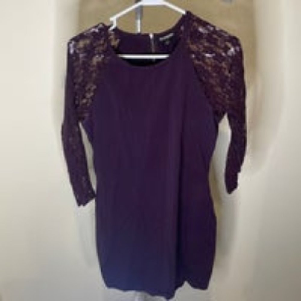 Lace Sleeve Dress